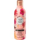 디엠메드 이미지