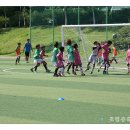 공설보조구장 이미지