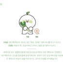 송송디자인