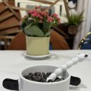 바우와우 | 1만원대 선물 추천 | ‘바우쏠 바우와우 시리얼 볼세트’ 내돈내산 후기🐶 (카톡 선물하기,쿠팡 추천템)