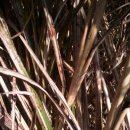 제주도 푸른밤 이미지