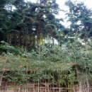 호텔 나무(Hotel Namoo) 이미지