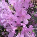 리틀아뜰리에 이미지