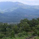 비무장지대 이미지