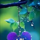 무소의 뿔처럼 혼자서 가라 이미지