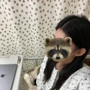 하당어린이공원 | 성인 편도 절제술 후기 _분당차병원