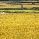 어르신돌봄센터 이미지