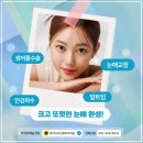 파라디아성형외과의원 이미지