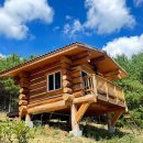 산양파출소 | 갑자기 떠난 태백과 삼척! 몽토랑, 향초목원, 용화해수욕장과 장호항, 삼척 해상 케이블카.