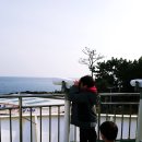 부산 국립 수산과학관:) 아이들 볼거리,체험거리 많아요~^^ (관람후기)