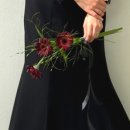 효성1차A | 예비부부 필독ㅣ25년 결혼 준비 1년 타임라인 총정리 ( 스드메·청첩장·본식 꿀팁 )