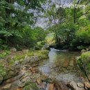 숲속의하얀집 이미지