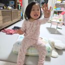 기아㈜ | 팸퍼스 2026 터치 오브 네이처 썸머 팬티 체험단 솔직 후기