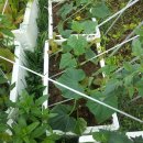 무심농장 이미지