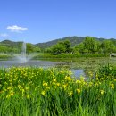 경남 가볼만한곳 거창 창포원 이미지