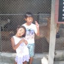 (주)박상 이미지