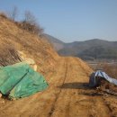 동편농장 이미지