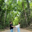 포레스트안경 이미지