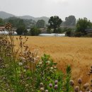 내3리 마을회관 이미지