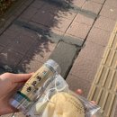 터미널정비공장 | [구마모토] DAY 3 (산토리 맥주공장, 쿠마몬 전시회, 쿠마몬 빌리지, 사쿠라노바바 조사이엔, 쿠마몬...