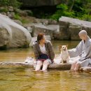 문경파출소 이미지