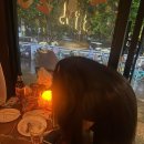효원유치원 | [교환학생] 그리 대단치도 않은 것들을 사랑하라