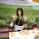 새마을농약사