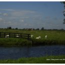 네덜란드풍차마을 이미지