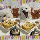 몽도날드 이미지