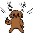 앤도스