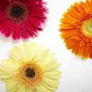 미예담산부인과의원 이미지