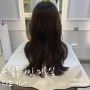 위드지나 | 인천 구월동 1인 미용실 '위드지나' 염색 잘하는 곳 추천!