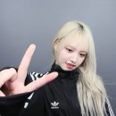 리즈헤어 이미지