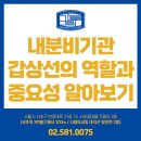 서초성모이비인후과의원 이미지