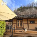 크리스마스애견동반펜션민박 | 강원도 홍천 애견동반펜션 민박 또랑, 촌캉스 느낌 가득 2박3일 후기