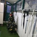 호텔아미 우산점 | 성수 어린달(방어), 벱(쌀국수), 메종아미에어비앤비 후기[내돈내산]