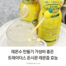 레몬수 만들기 가성비 좋은 트레이더스 돈시몬 레몬즙 효능