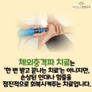 인덕원안수정형외과의원 네이버블로그
