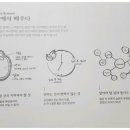 슈퍼그레잇
