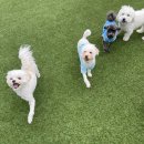 아이사랑유치원 이미지