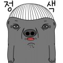 루미로사 이미지