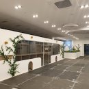 마이펫 강아지유치원 이미지