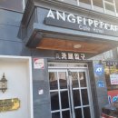 엔젤펫애견샵 이미지