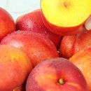 제일스마트영농 이미지