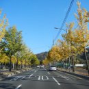 도동김밥 이미지