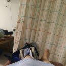 코끼리휴병원 이미지