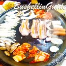 바로잘돼지 이미지