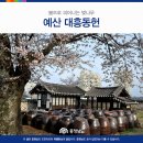 대흥 이미지