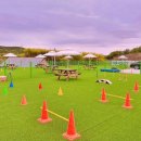 견인지역 애견운동장 유치원 김포점 이미지