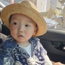 민호농장 이미지